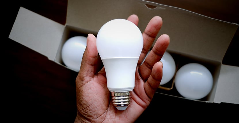 Holding an LED light bulb