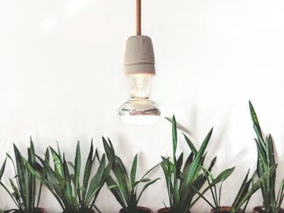 Grow light over some plants