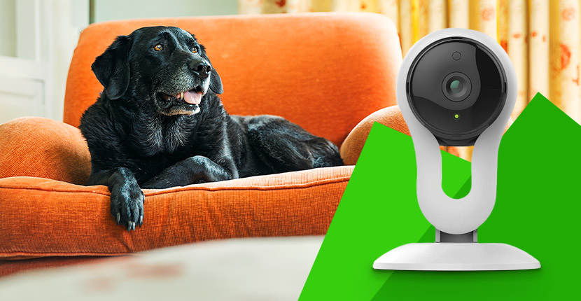 Security camera