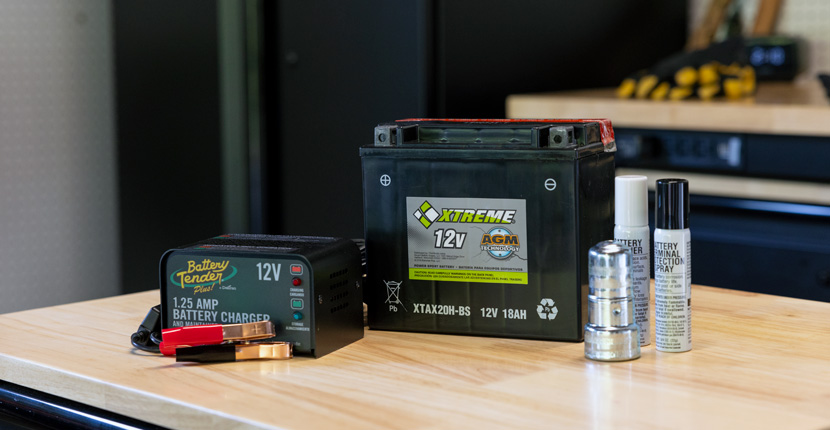 Battery charger, battery and terminal cleaning kit